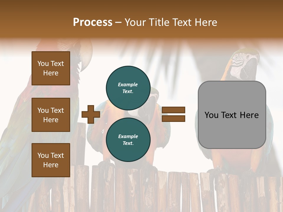 Bottles With Essential Oils Isolated On White Background PowerPoint Template