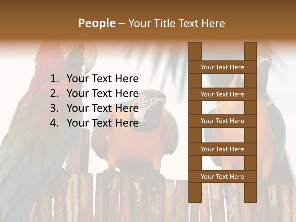 Bottles With Essential Oils Isolated On White Background PowerPoint Template