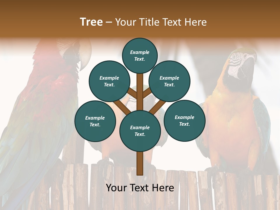 Bottles With Essential Oils Isolated On White Background PowerPoint Template