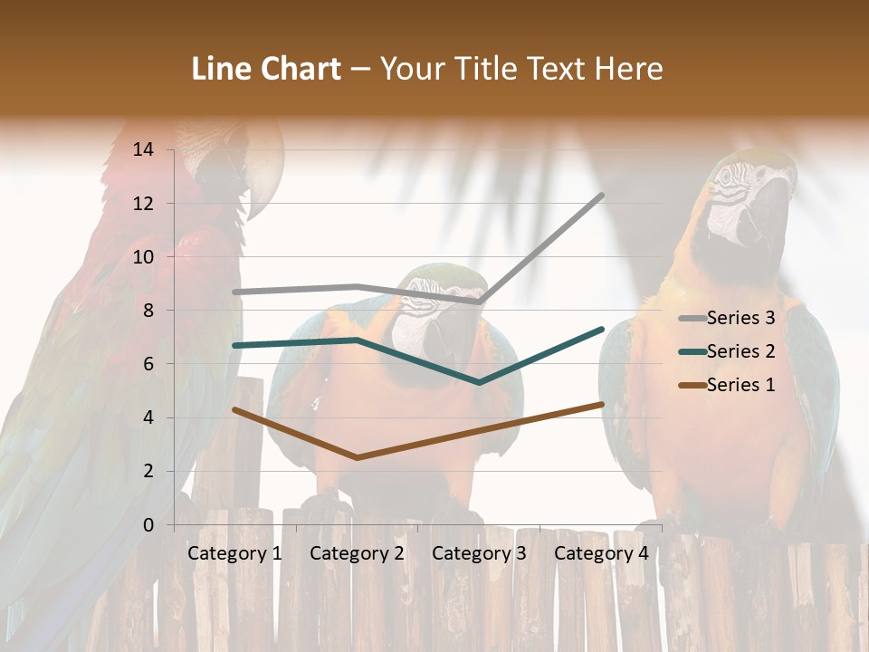Bottles With Essential Oils Isolated On White Background PowerPoint Template