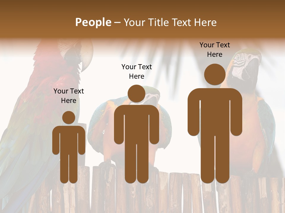 Bottles With Essential Oils Isolated On White Background PowerPoint Template