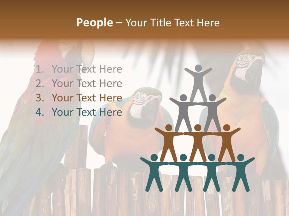 Bottles With Essential Oils Isolated On White Background PowerPoint Template