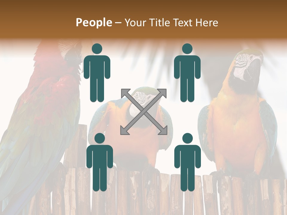 Bottles With Essential Oils Isolated On White Background PowerPoint Template