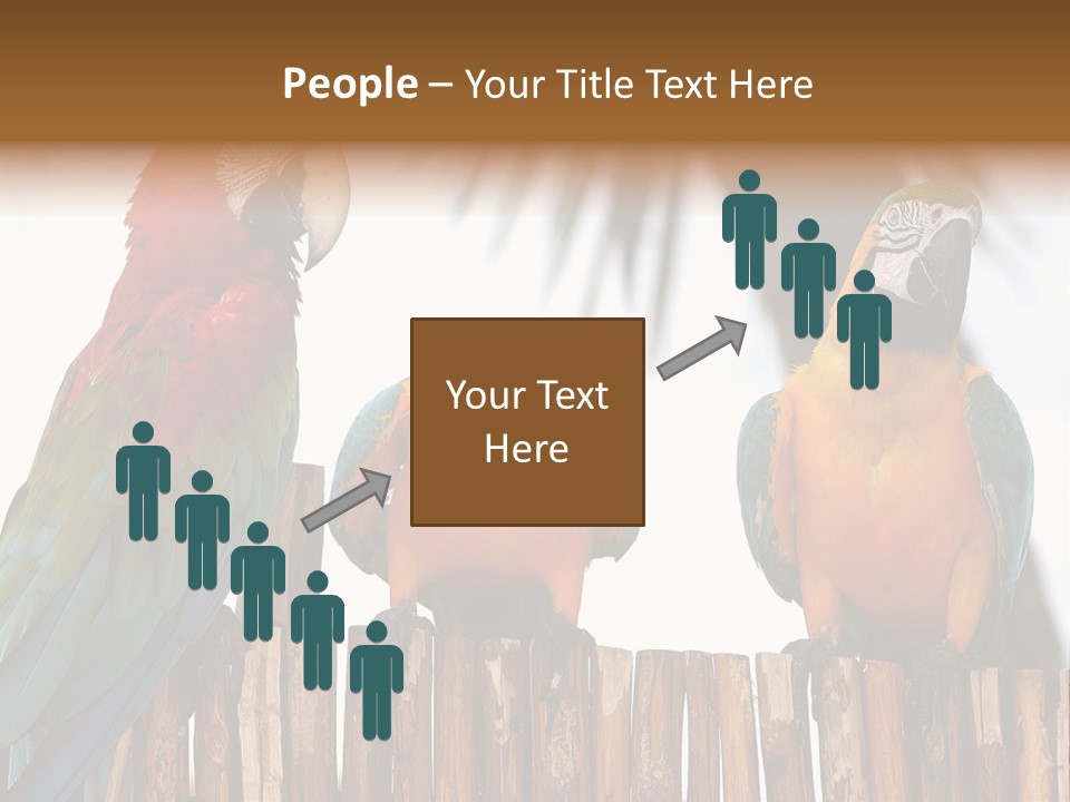 Bottles With Essential Oils Isolated On White Background PowerPoint Template