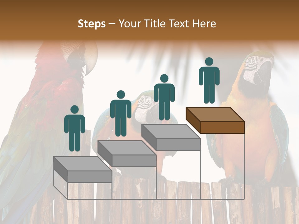 Bottles With Essential Oils Isolated On White Background PowerPoint Template