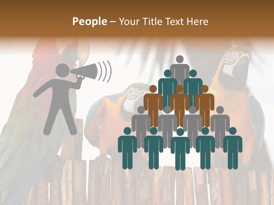 Bottles With Essential Oils Isolated On White Background PowerPoint Template