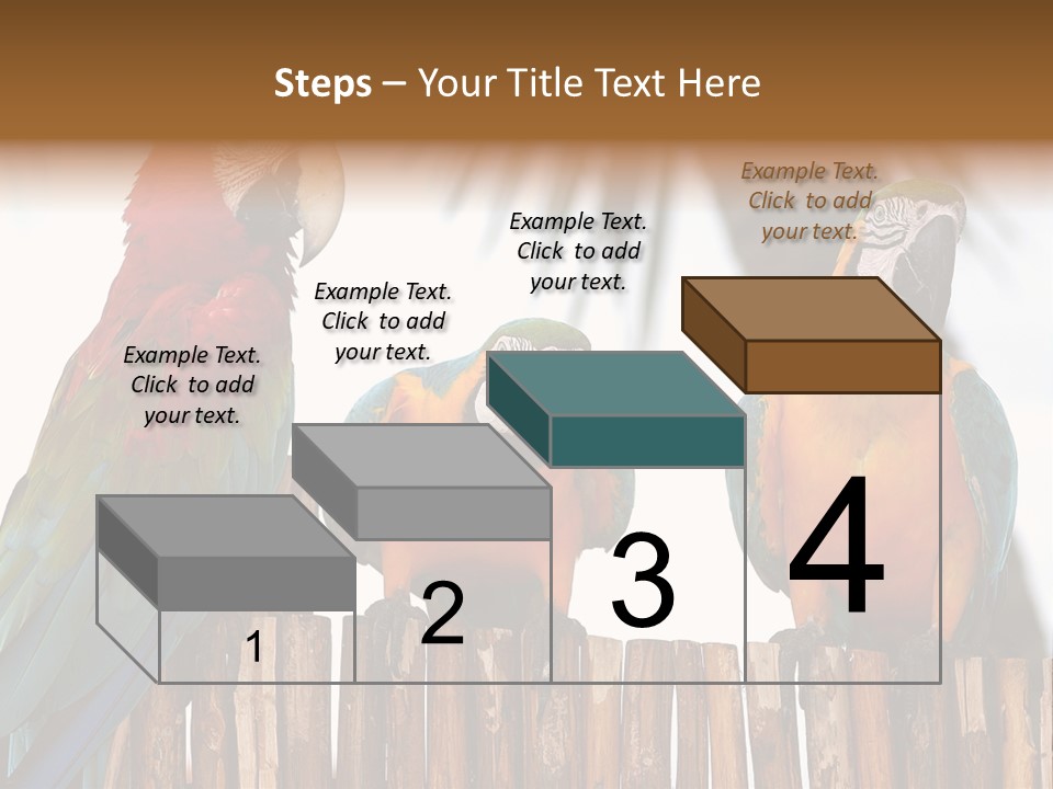 Bottles With Essential Oils Isolated On White Background PowerPoint Template