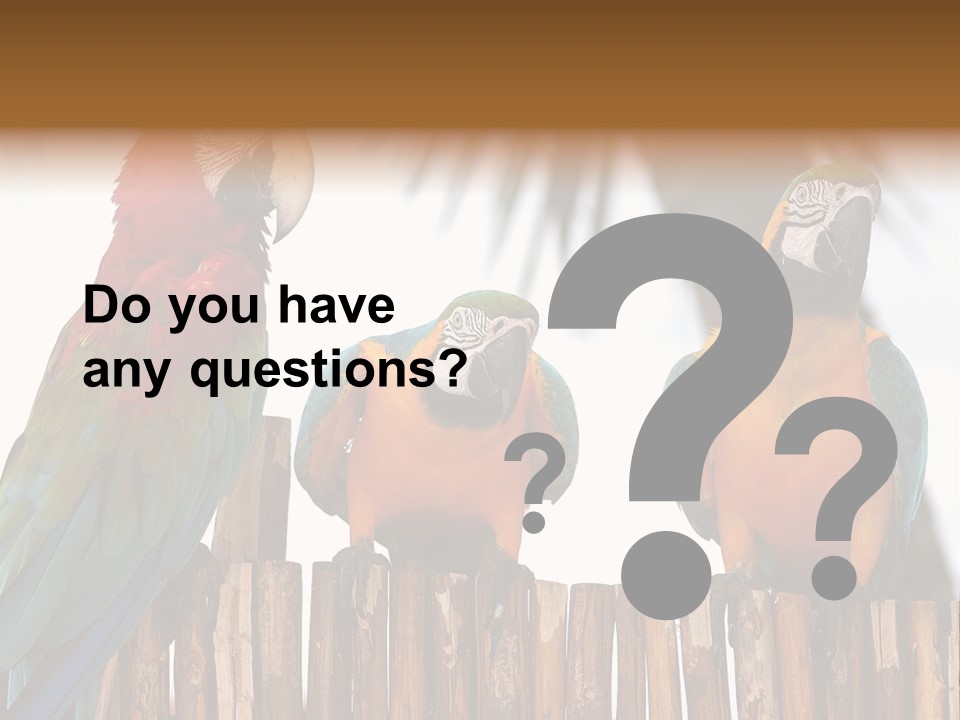 Bottles With Essential Oils Isolated On White Background PowerPoint Template