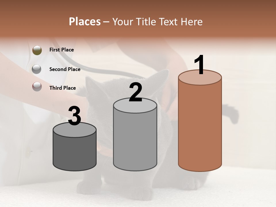 Portrait Of Beautiful African American Woman Smiling PowerPoint Template