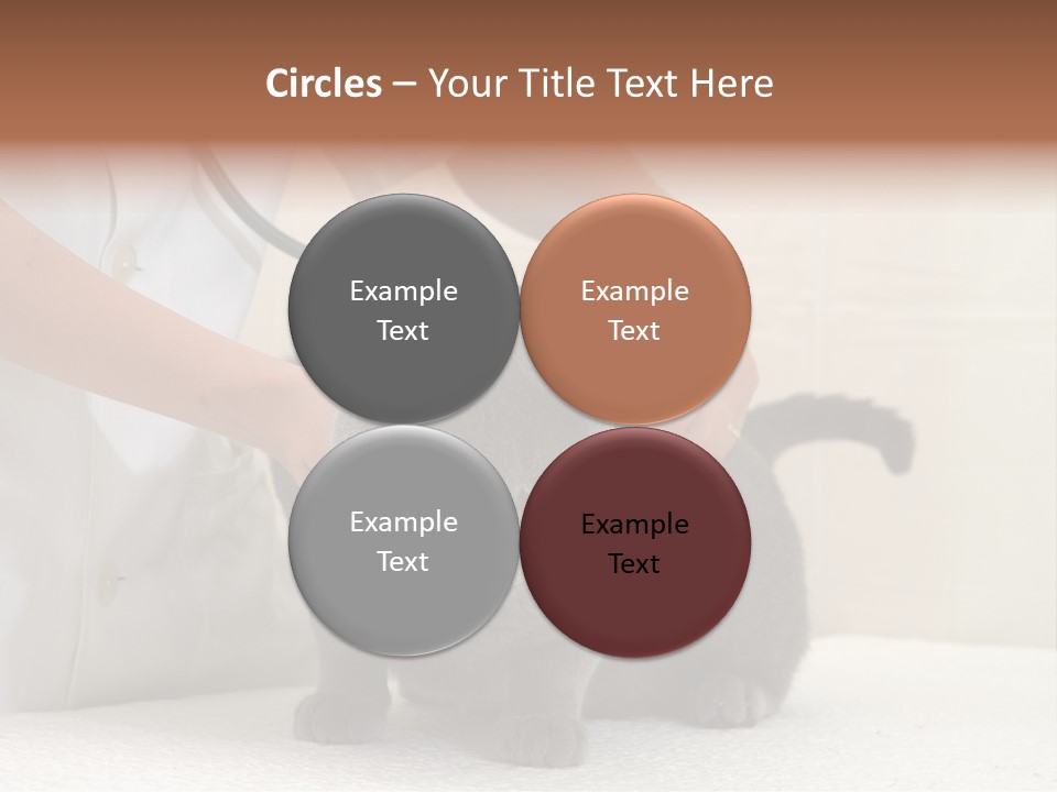 Portrait Of Beautiful African American Woman Smiling PowerPoint Template