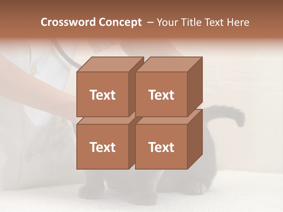 Portrait Of Beautiful African American Woman Smiling PowerPoint Template