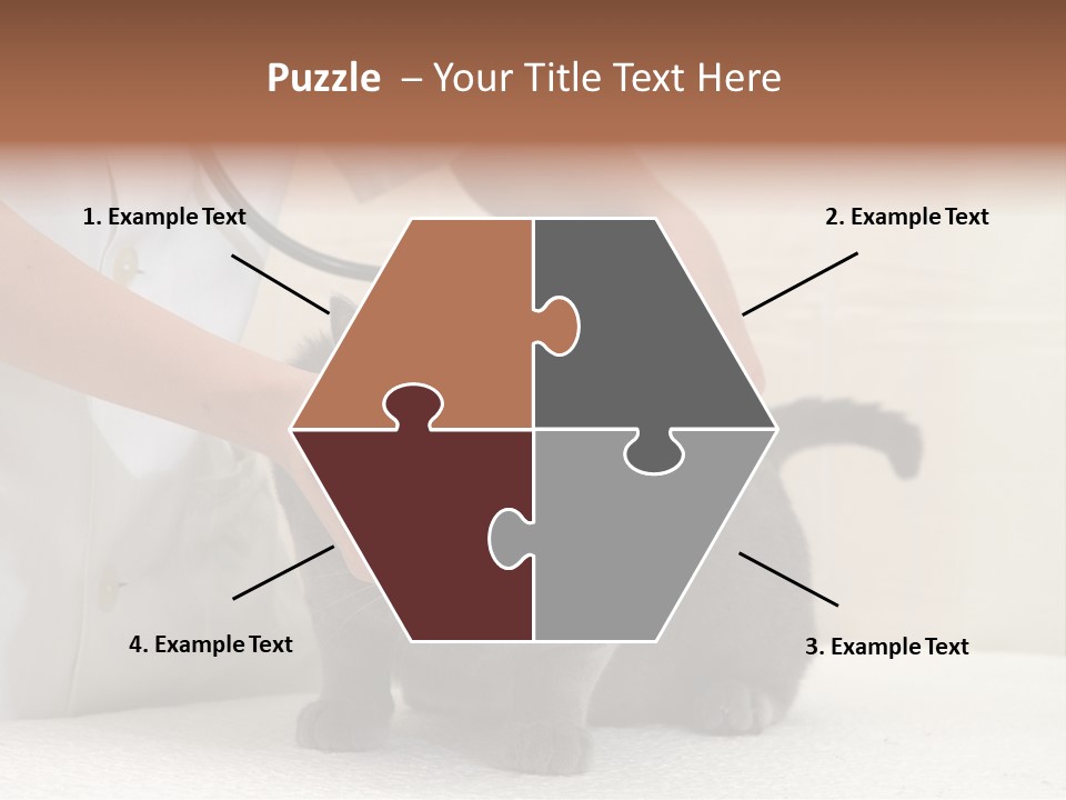 Portrait Of Beautiful African American Woman Smiling PowerPoint Template