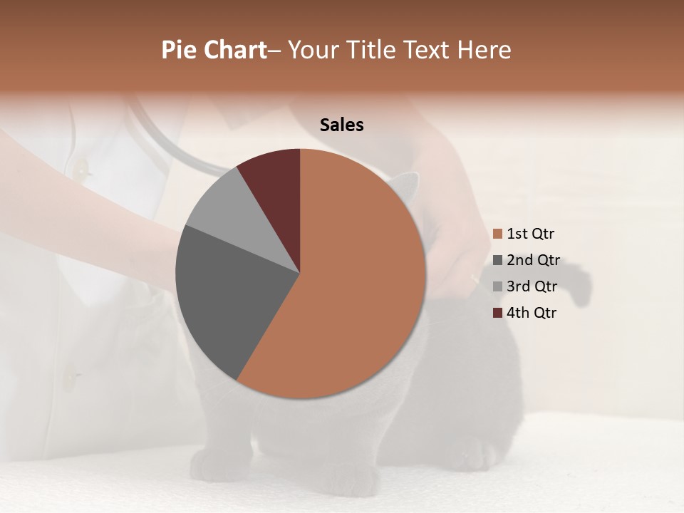 Portrait Of Beautiful African American Woman Smiling PowerPoint Template