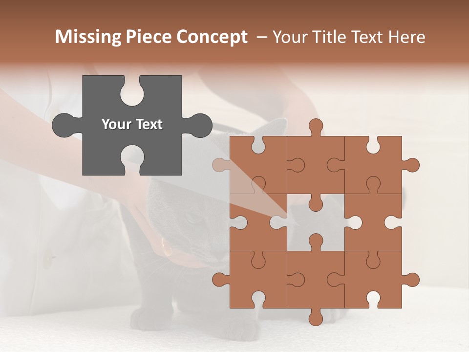 Portrait Of Beautiful African American Woman Smiling PowerPoint Template