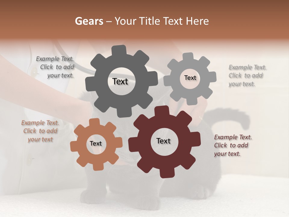 Portrait Of Beautiful African American Woman Smiling PowerPoint Template