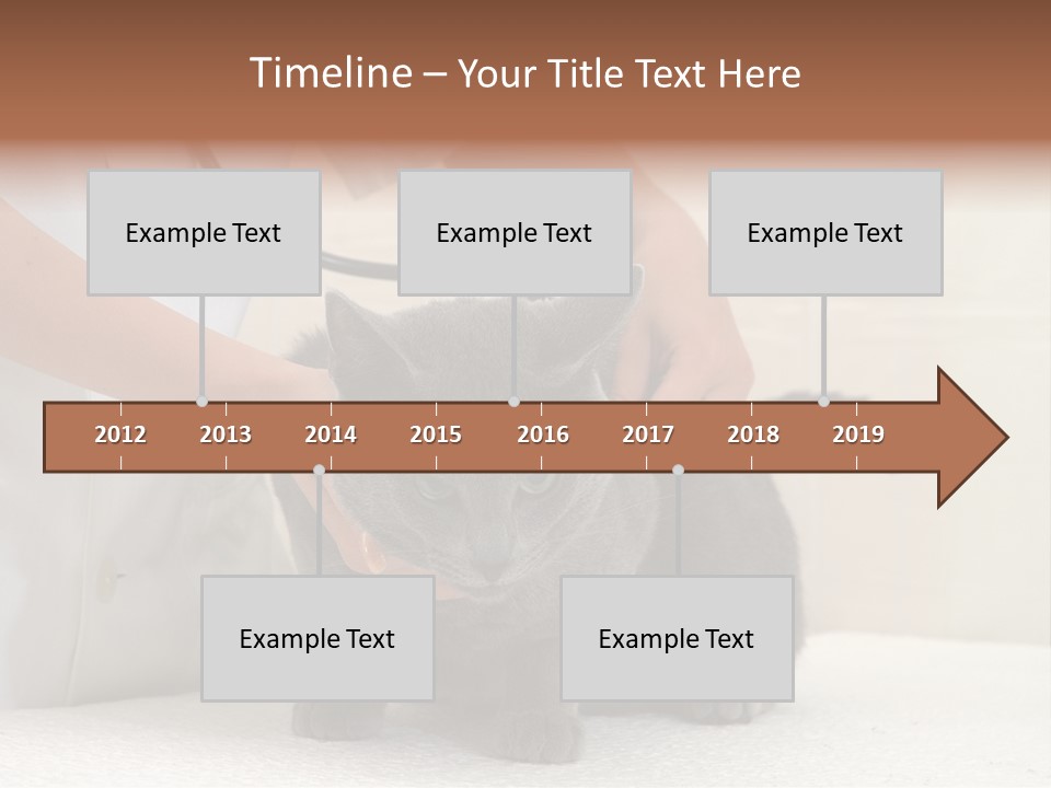 Portrait Of Beautiful African American Woman Smiling PowerPoint Template
