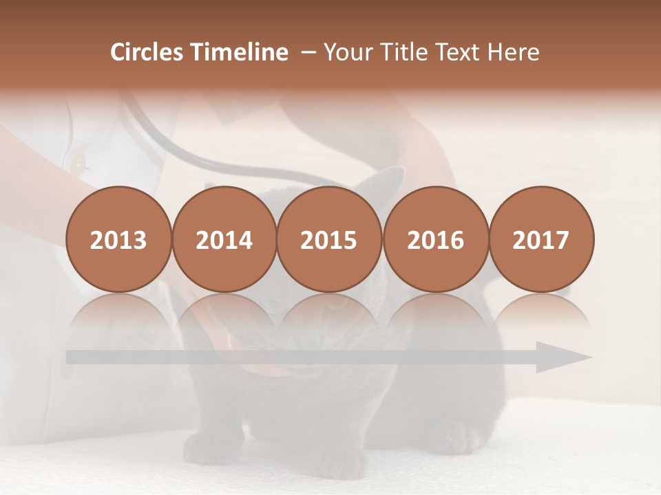 Portrait Of Beautiful African American Woman Smiling PowerPoint Template