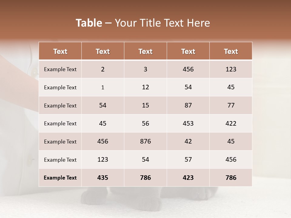 Portrait Of Beautiful African American Woman Smiling PowerPoint Template