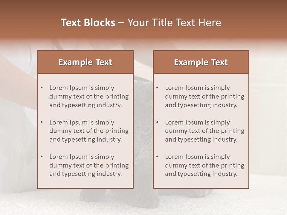 Portrait Of Beautiful African American Woman Smiling PowerPoint Template