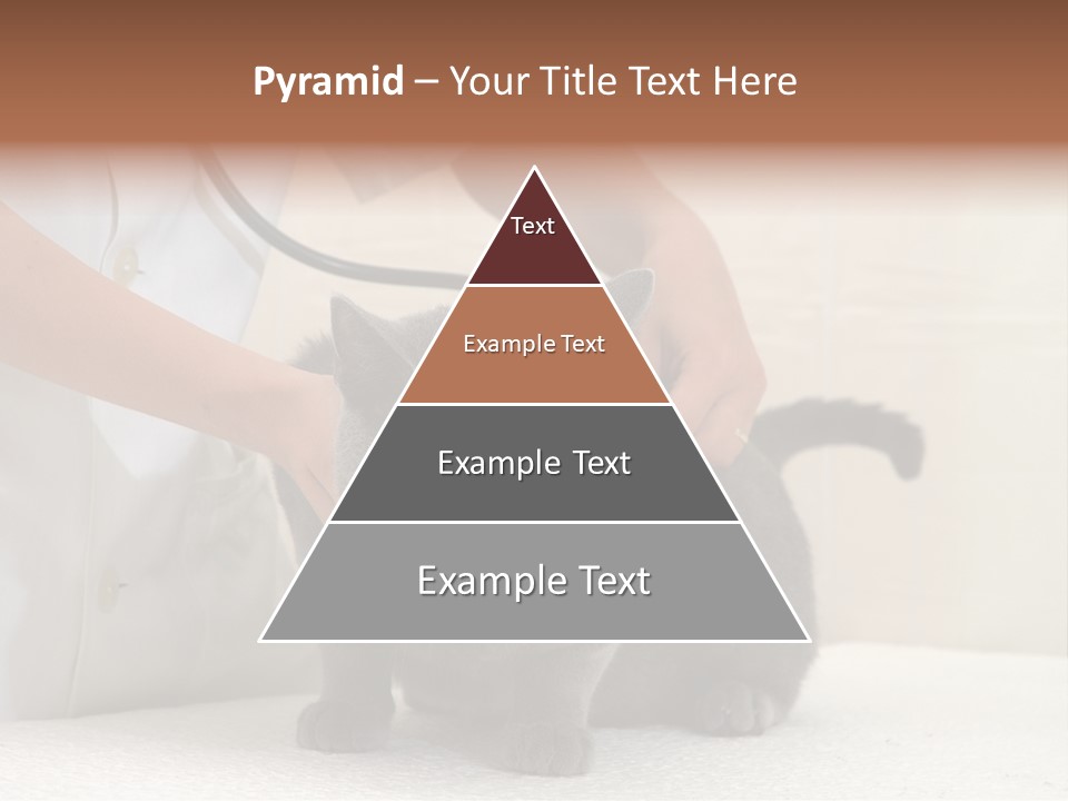 Portrait Of Beautiful African American Woman Smiling PowerPoint Template