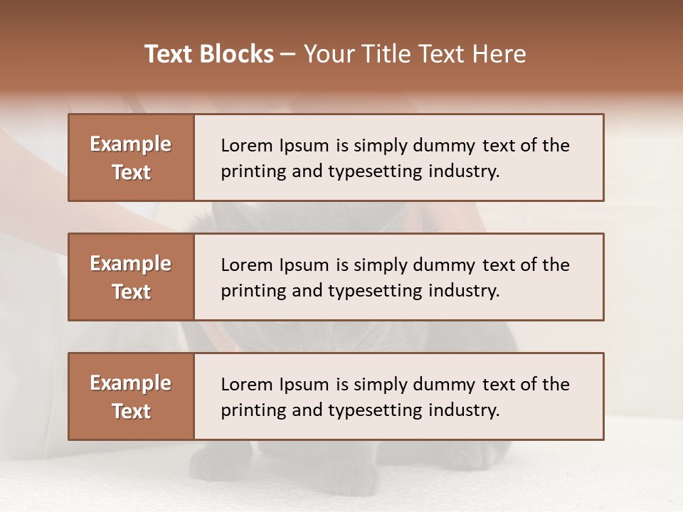 Portrait Of Beautiful African American Woman Smiling PowerPoint Template