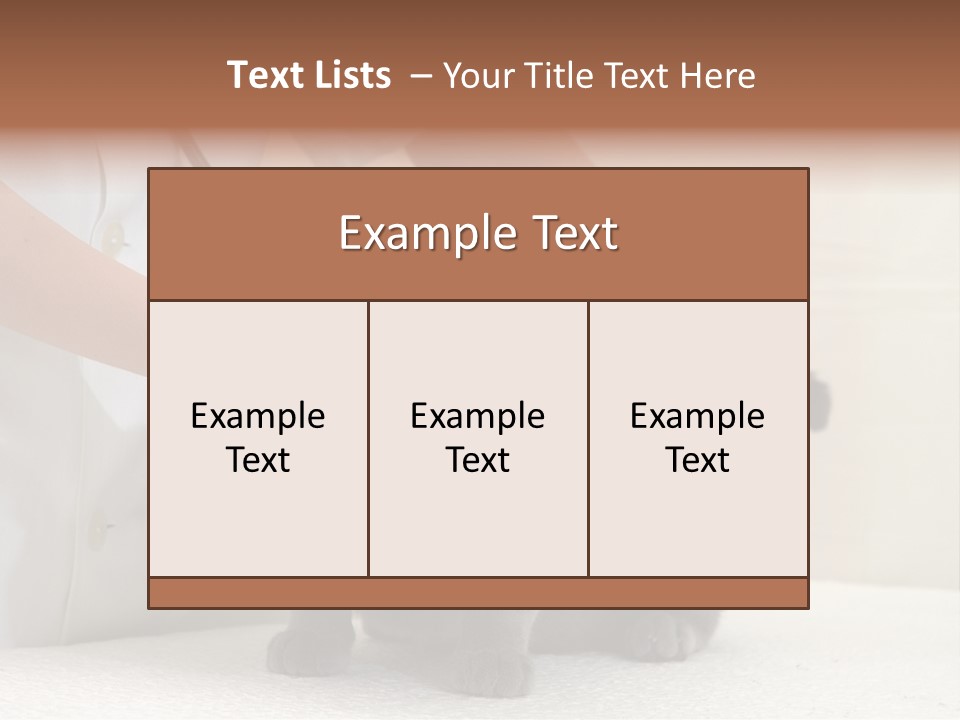 Portrait Of Beautiful African American Woman Smiling PowerPoint Template