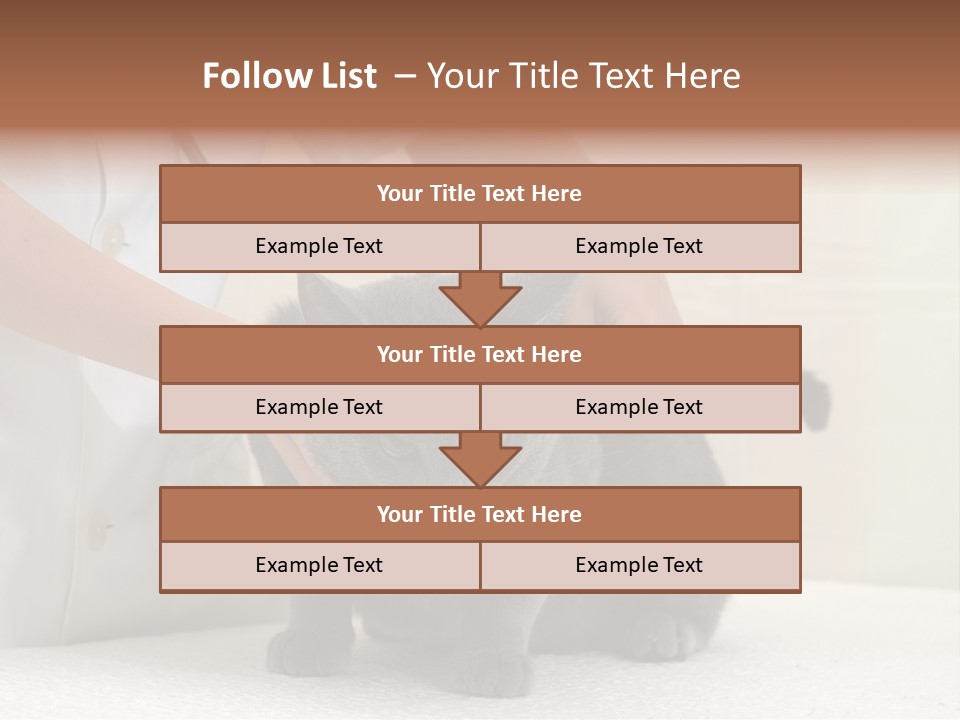Portrait Of Beautiful African American Woman Smiling PowerPoint Template