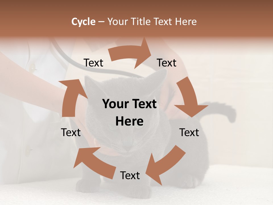 Portrait Of Beautiful African American Woman Smiling PowerPoint Template