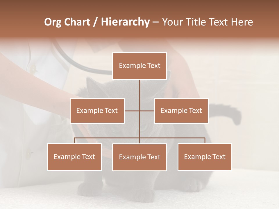 Portrait Of Beautiful African American Woman Smiling PowerPoint Template
