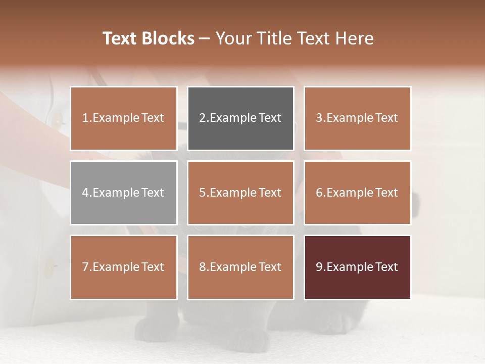 Portrait Of Beautiful African American Woman Smiling PowerPoint Template