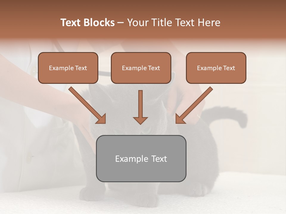 Portrait Of Beautiful African American Woman Smiling PowerPoint Template
