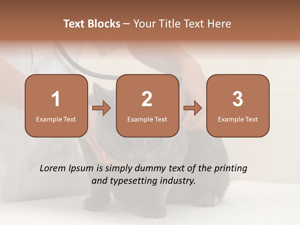 Portrait Of Beautiful African American Woman Smiling PowerPoint Template