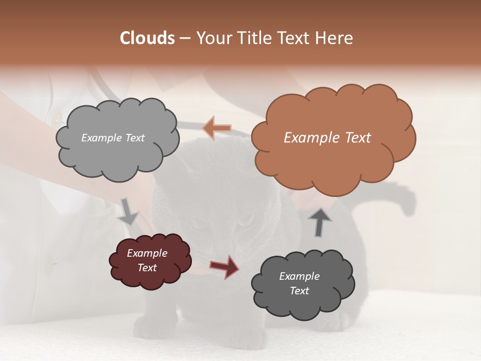 Portrait Of Beautiful African American Woman Smiling PowerPoint Template