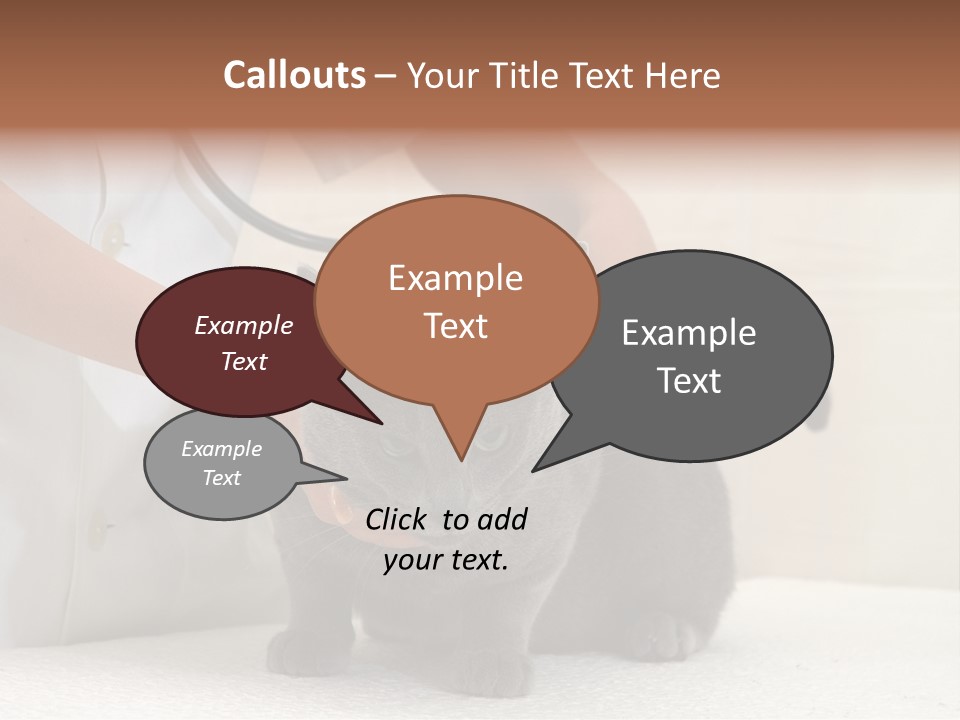 Portrait Of Beautiful African American Woman Smiling PowerPoint Template