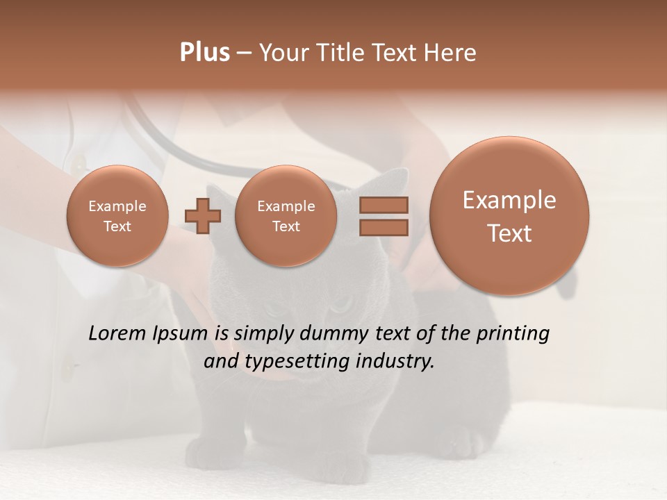 Portrait Of Beautiful African American Woman Smiling PowerPoint Template