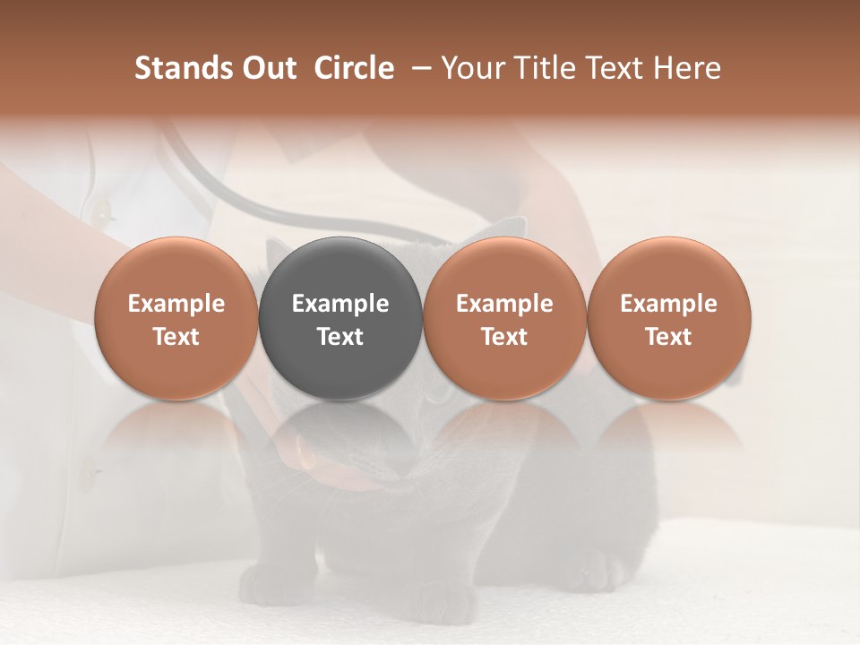 Portrait Of Beautiful African American Woman Smiling PowerPoint Template