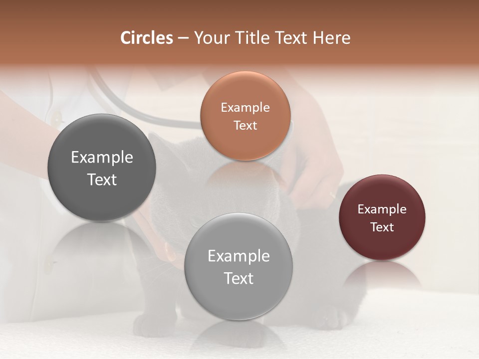 Portrait Of Beautiful African American Woman Smiling PowerPoint Template