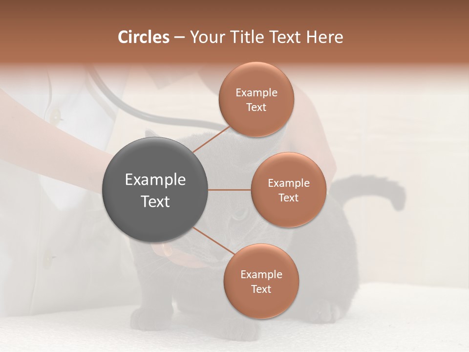 Portrait Of Beautiful African American Woman Smiling PowerPoint Template