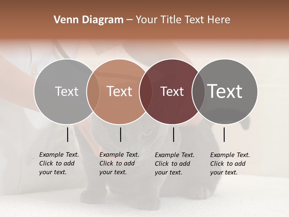 Portrait Of Beautiful African American Woman Smiling PowerPoint Template