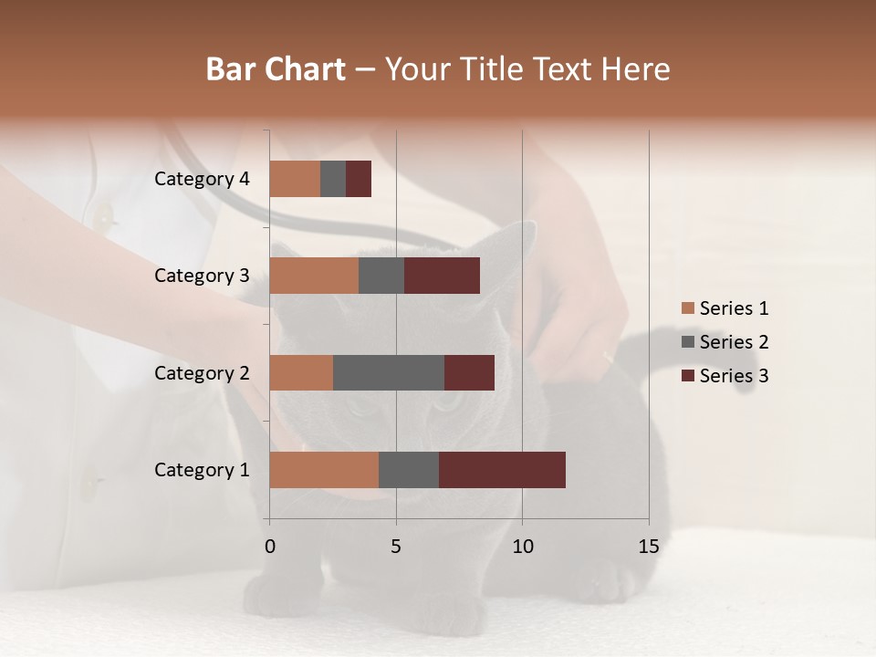 Portrait Of Beautiful African American Woman Smiling PowerPoint Template