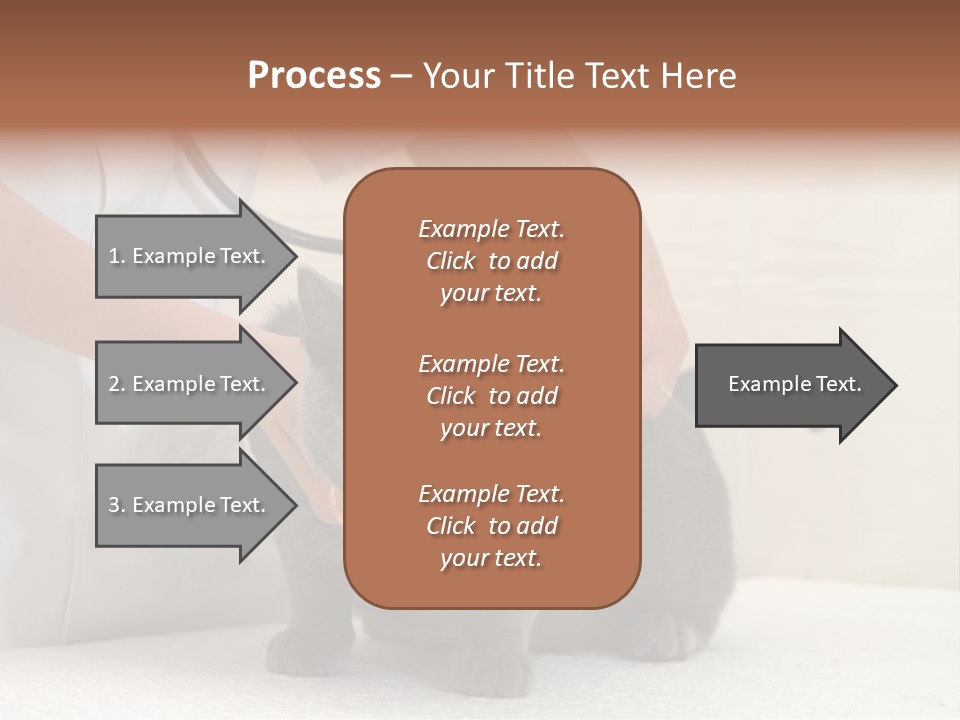 Portrait Of Beautiful African American Woman Smiling PowerPoint Template