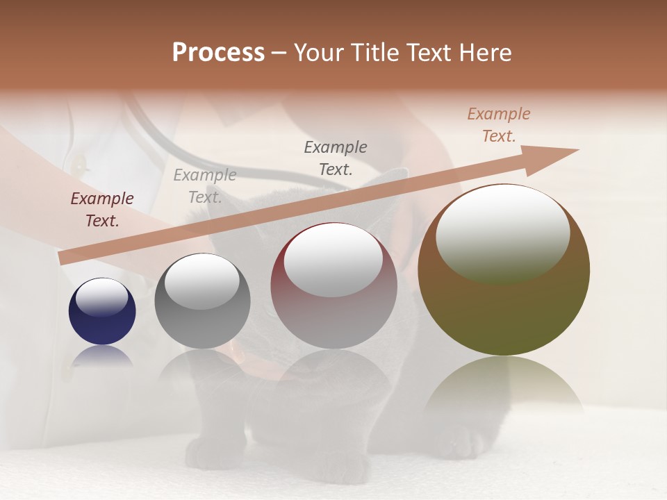 Portrait Of Beautiful African American Woman Smiling PowerPoint Template