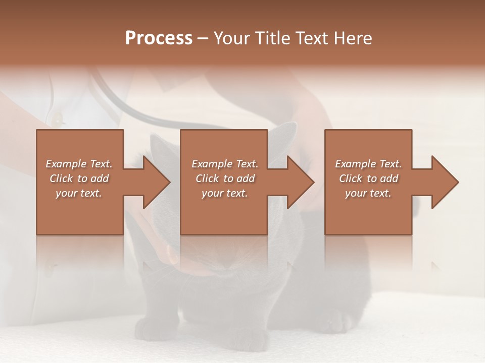 Portrait Of Beautiful African American Woman Smiling PowerPoint Template