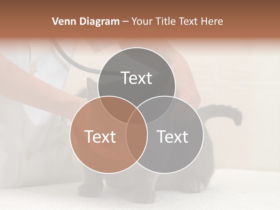 Portrait Of Beautiful African American Woman Smiling PowerPoint Template