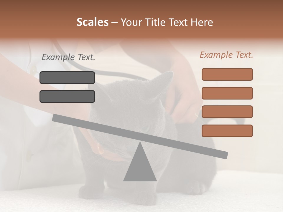 Portrait Of Beautiful African American Woman Smiling PowerPoint Template