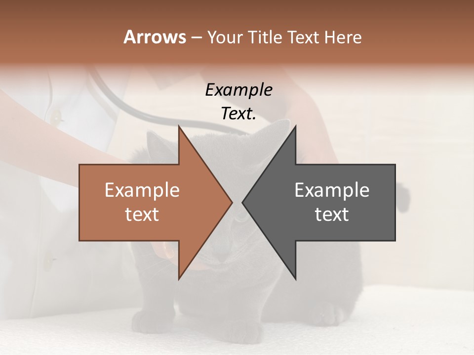 Portrait Of Beautiful African American Woman Smiling PowerPoint Template