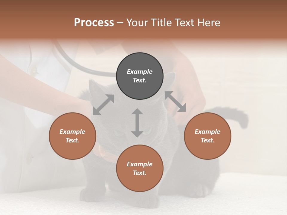 Portrait Of Beautiful African American Woman Smiling PowerPoint Template