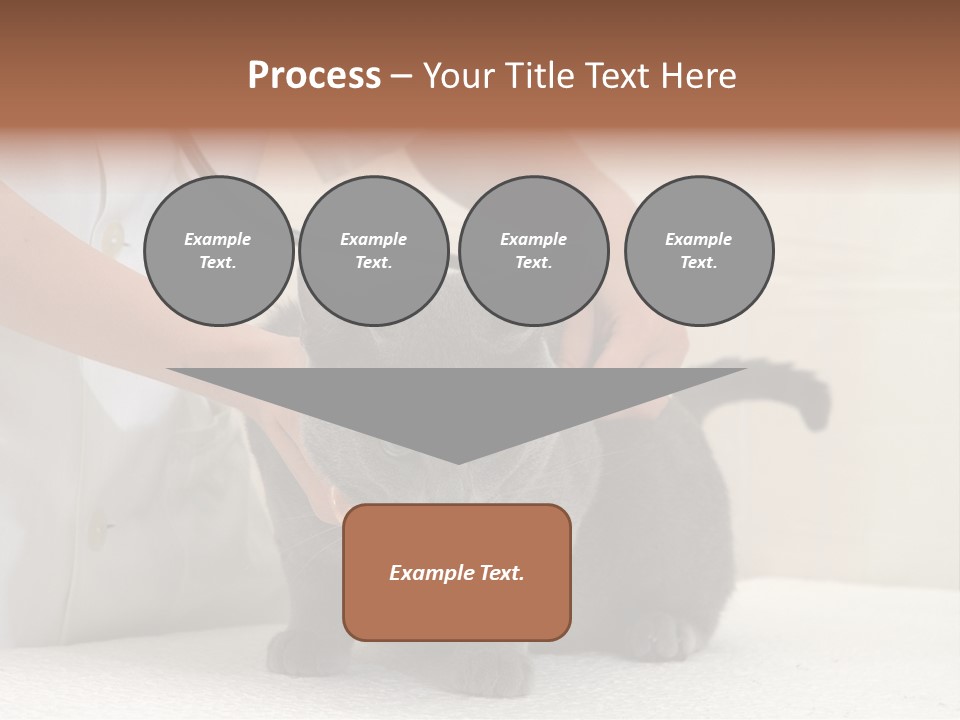 Portrait Of Beautiful African American Woman Smiling PowerPoint Template