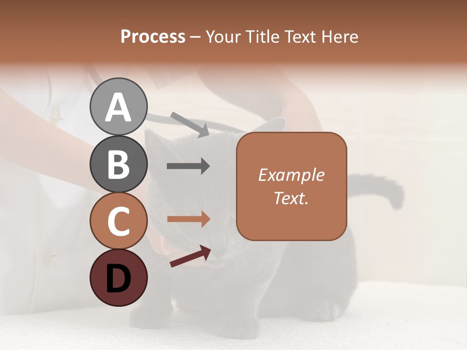 Portrait Of Beautiful African American Woman Smiling PowerPoint Template