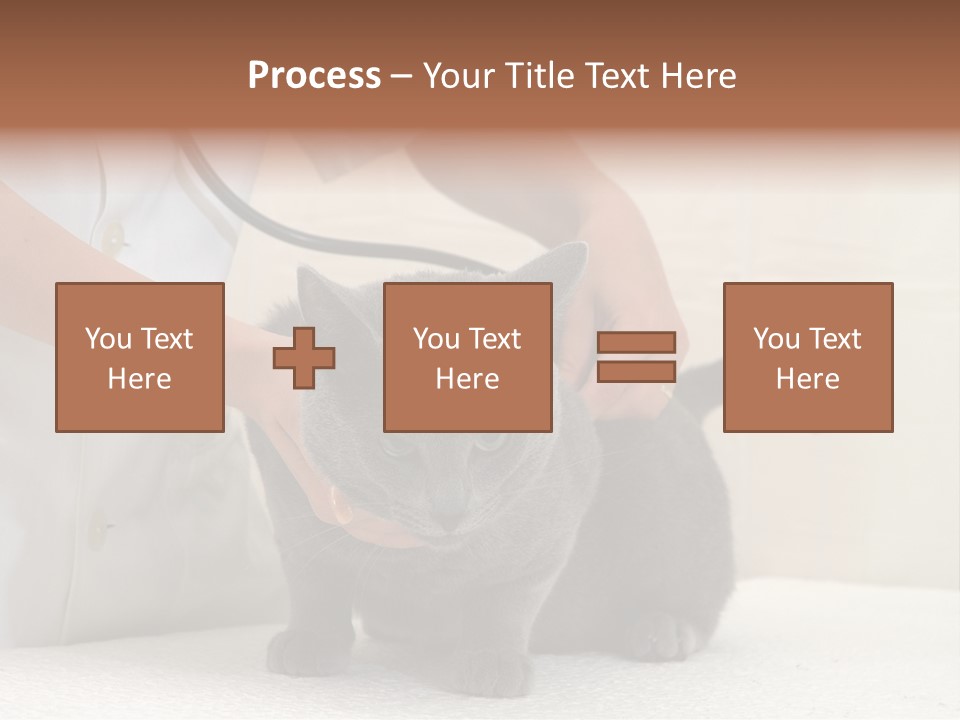 Portrait Of Beautiful African American Woman Smiling PowerPoint Template